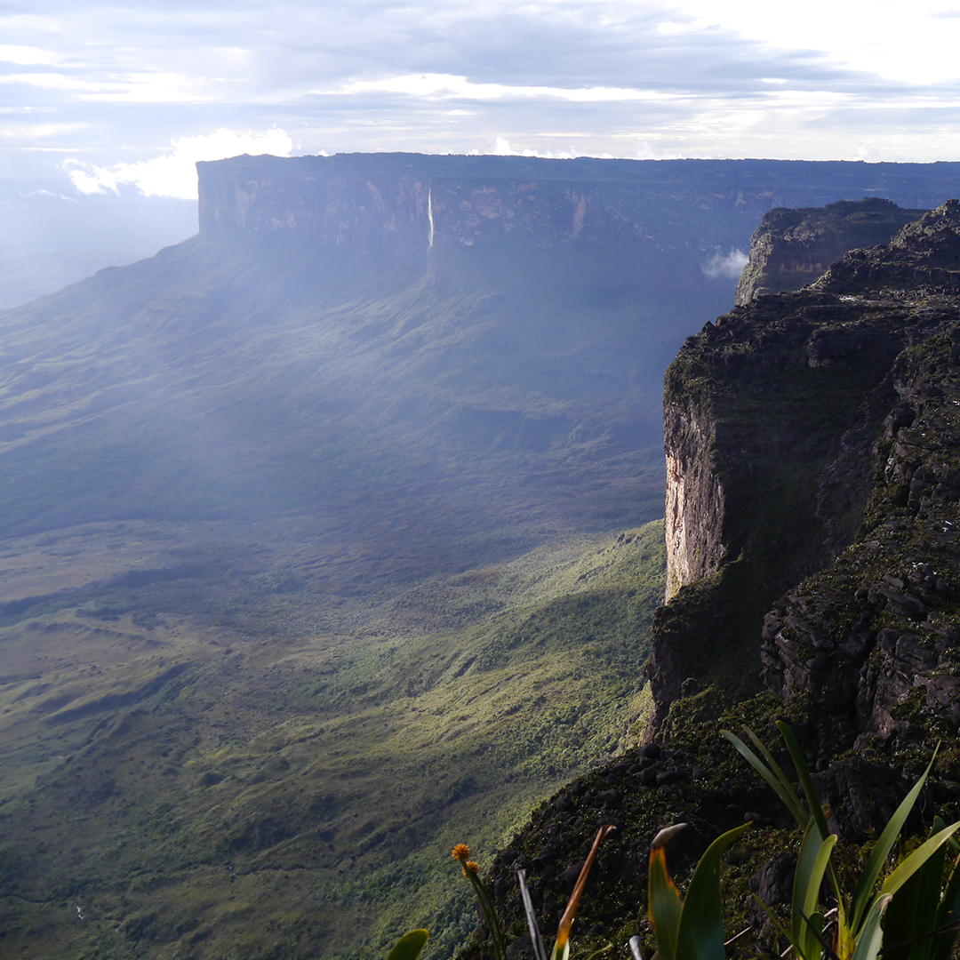 ➩ Tepuy Roraima, que significa en pemón “Gran Verde Azulado”
