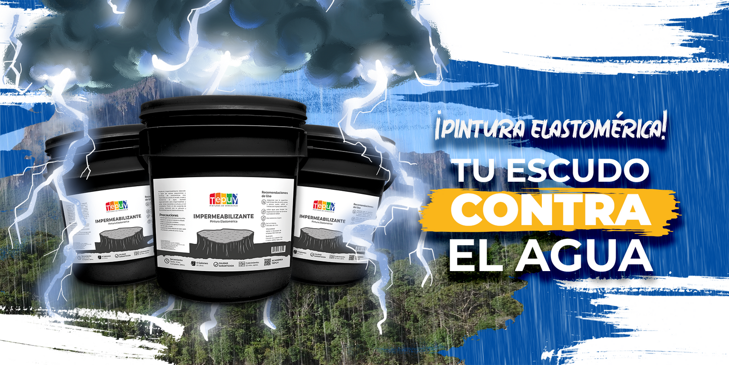 Pinturas Tepuy