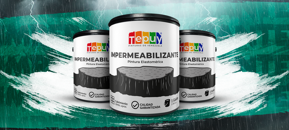 Pinturas Tepuy